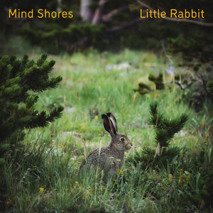 初女自我安慰伸缩
